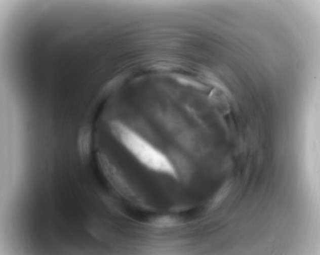 X0000099580163200805231558