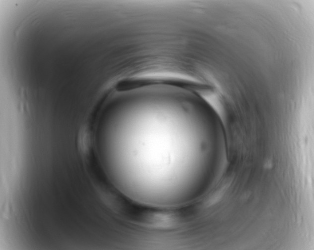 X0000099580164200805231558