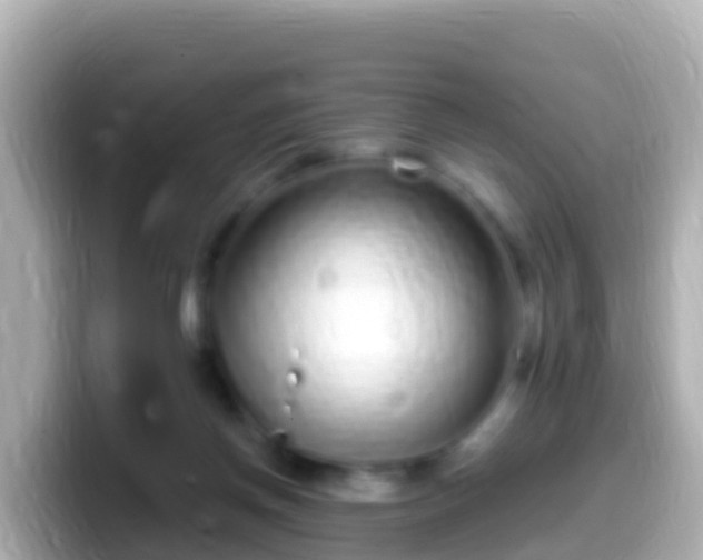 X0000099580166200805231558