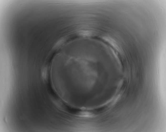 X0000099580167200805231558