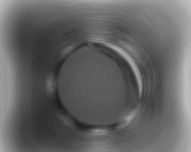 X0000099580168200805231558