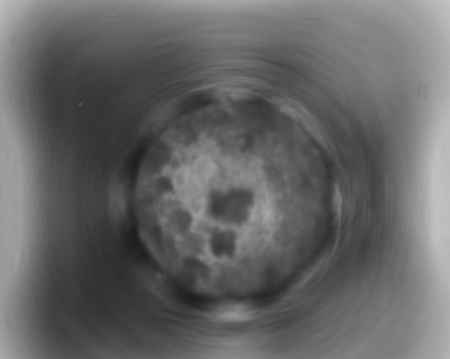 X0000099580169200805231558