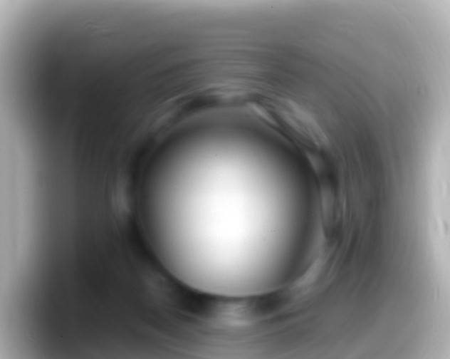 X0000099580170200805231558