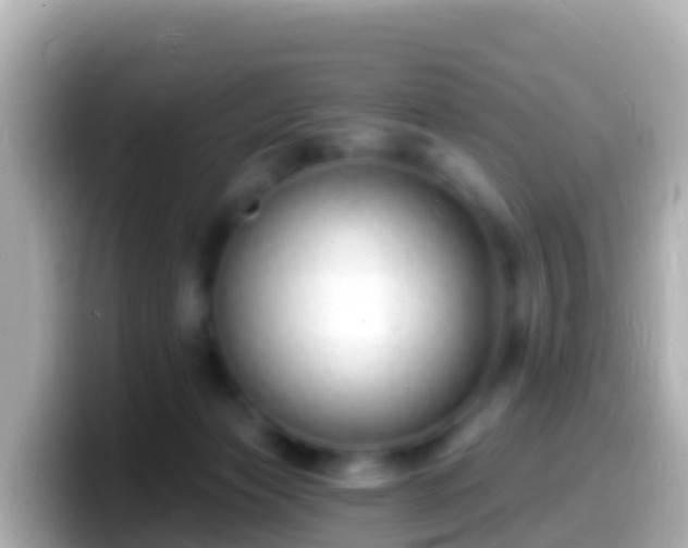 X0000099580173200805231558