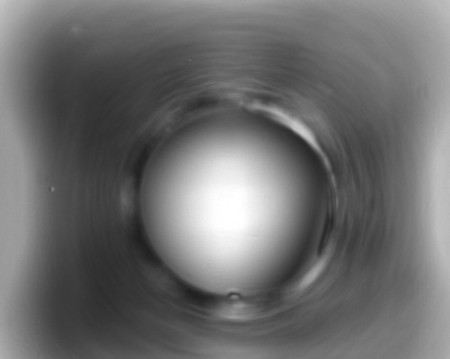 X0000099580174200805231558