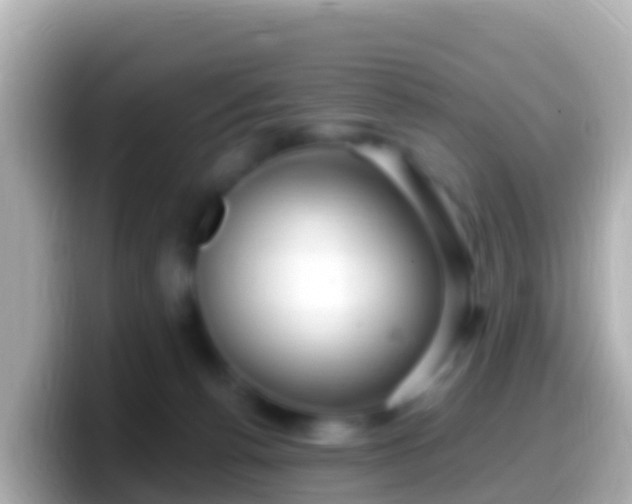 X0000099580176200805231558