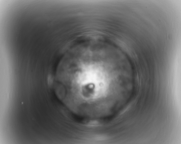 X0000099580177200805231558