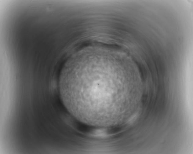 X0000099580178200805231558