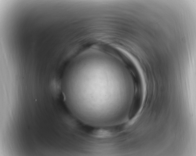 X0000099580180200805231558