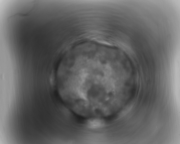 X0000099580181200805231558