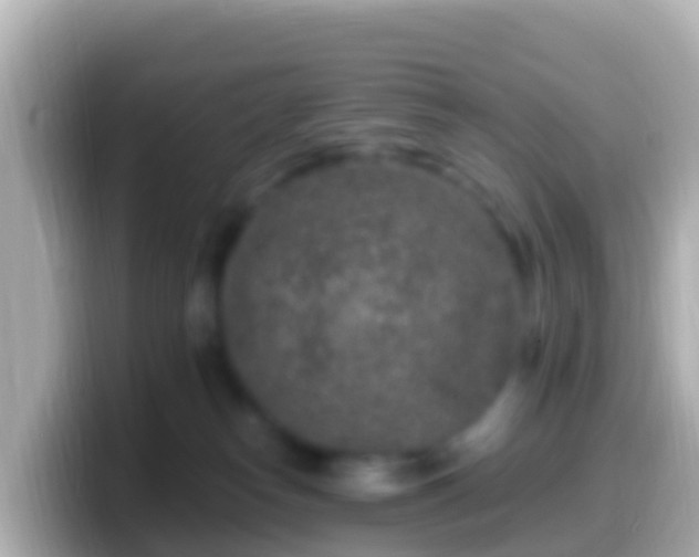 X0000099580182200805231558