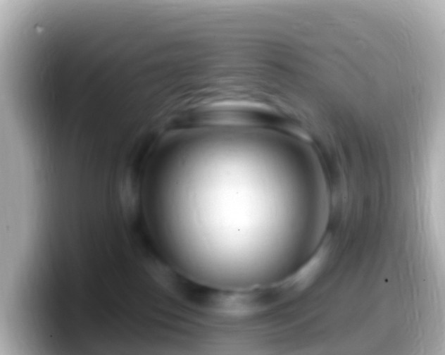 X0000099580186200805231558