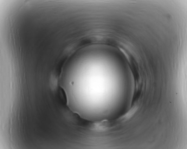 X0000099580188200805231558