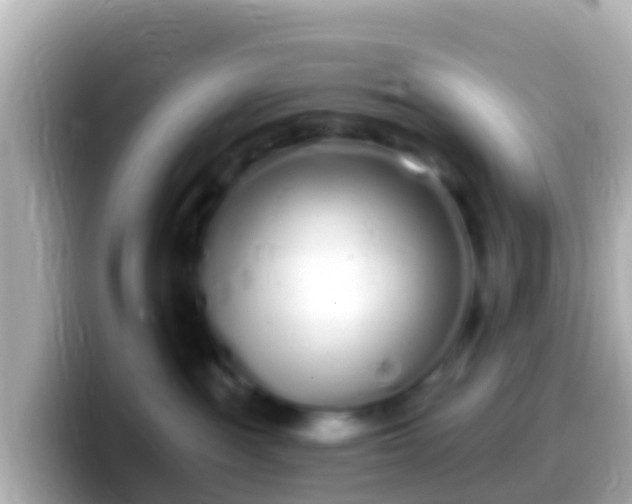 X0000099580189200805231558