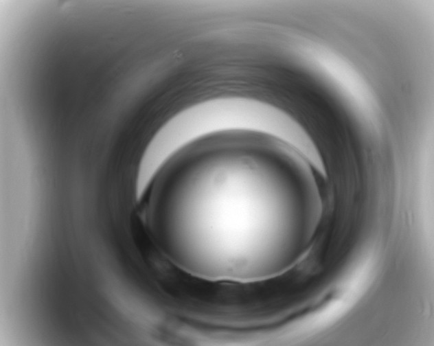 X0000099580190200805231558