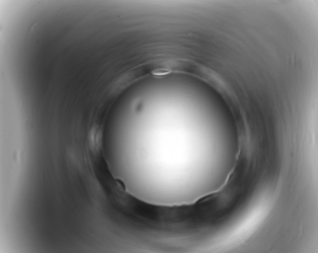 X0000099580191200805231558