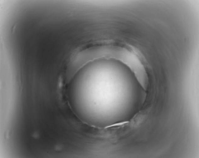 X0000099580192200805231558