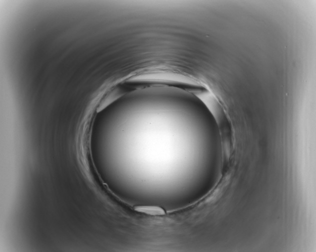 X0000099580193200805231557