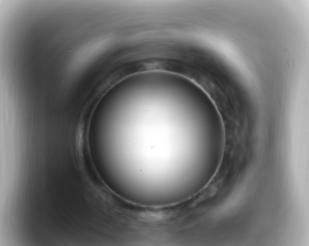 X0000099580194200805231557