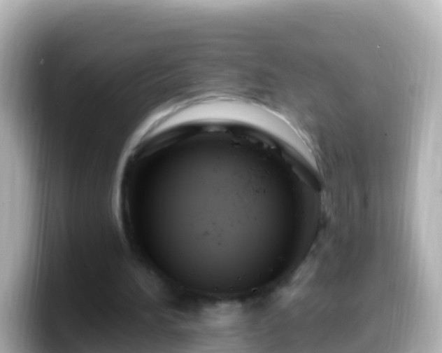 X0000099580196200805231557