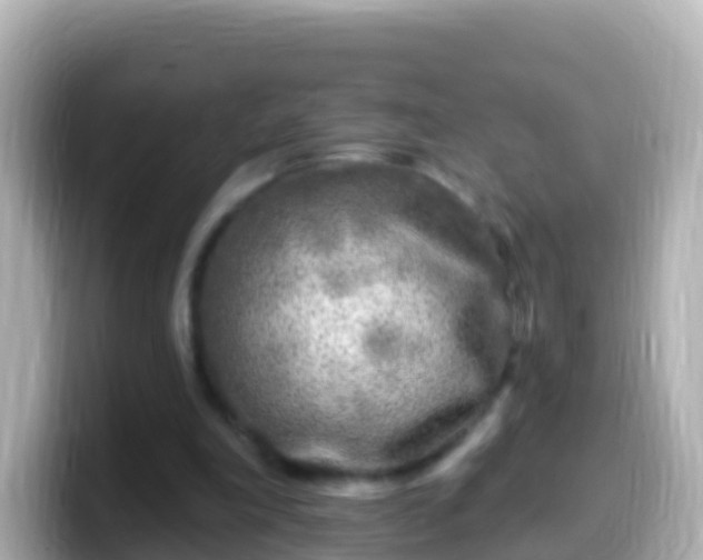 X0000099580198200805231557