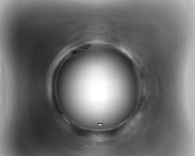 X0000099580199200805231557