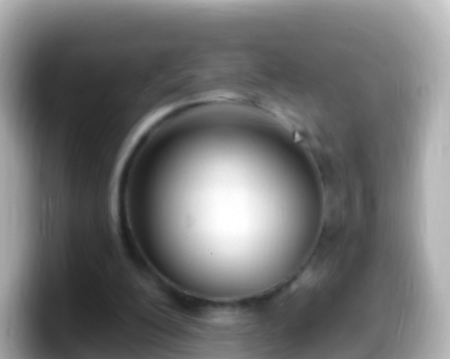 X0000099580200200805231557