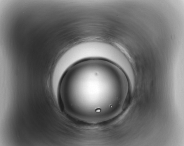 X0000099580201200805231557