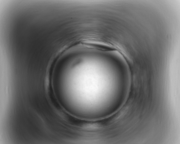 X0000099580202200805231557