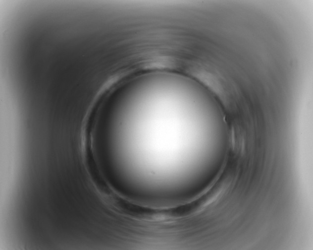 X0000099580204200805231557