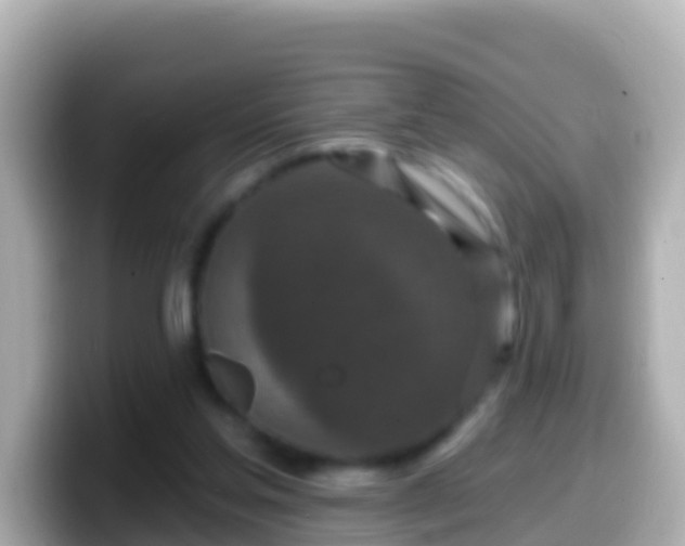 X0000099580205200805231557