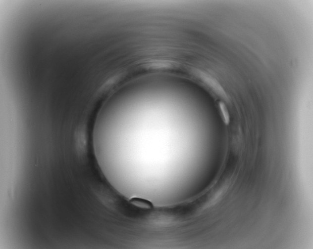 X0000099580207200805231557