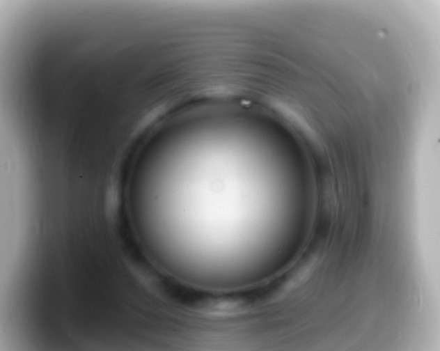 X0000099580208200805231557