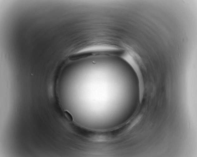 X0000099580209200805231557