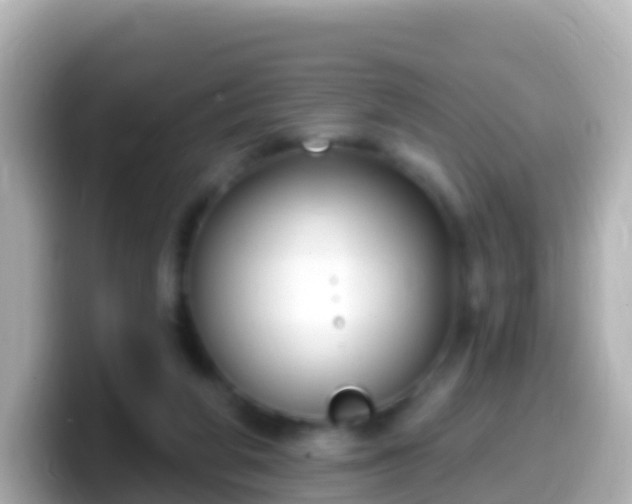 X0000099580210200805231557