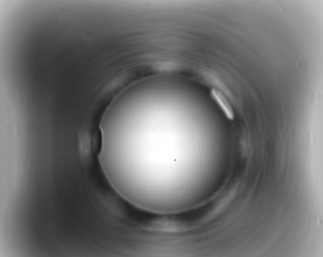 X0000099580211200805231557