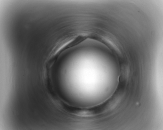 X0000099580212200805231557