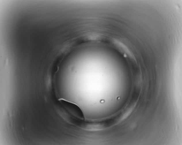 X0000099580213200805231557