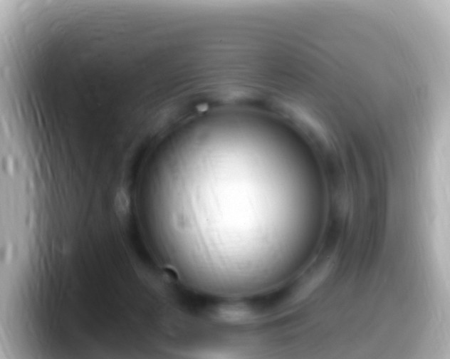 X0000099580214200805231557