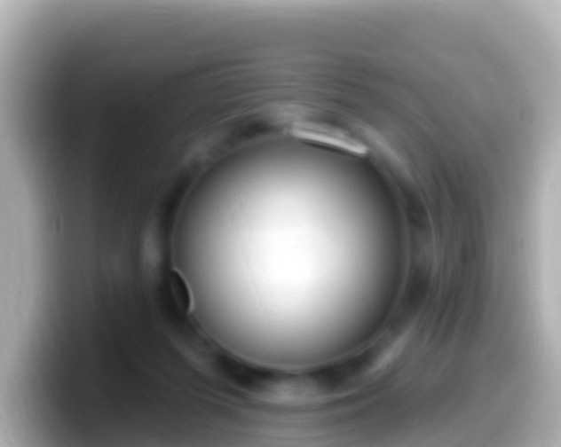 X0000099580215200805231557