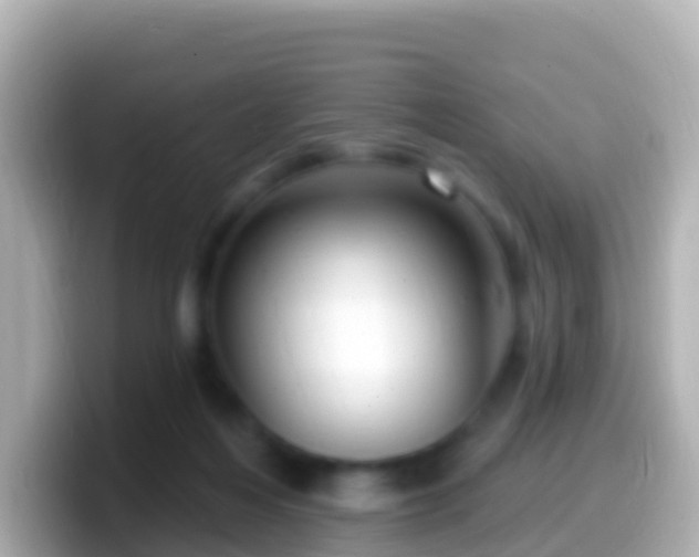 X0000099580216200805231557