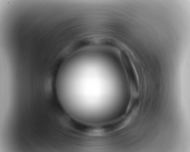 X0000099580217200805231557