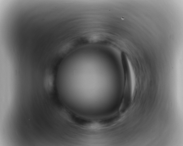 X0000099580219200805231557