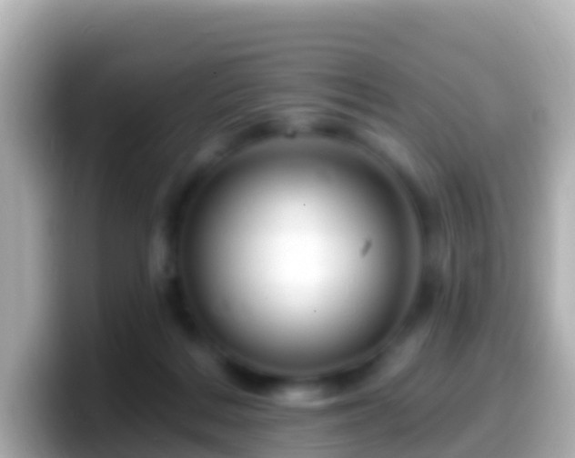 X0000099580220200805231557