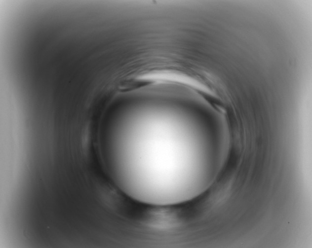 X0000099580221200805231557