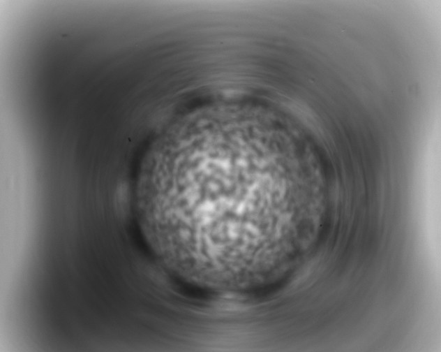 X0000099580222200805231557