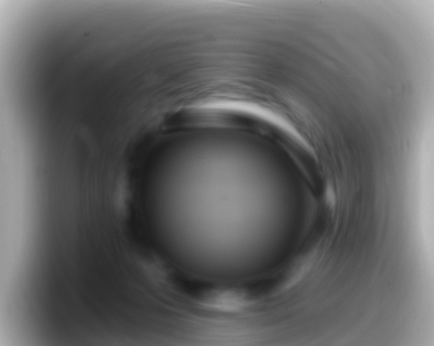 X0000099580223200805231557