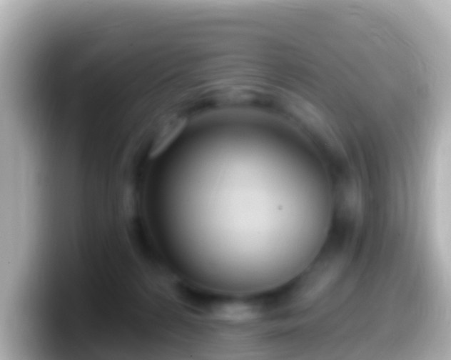 X0000099580224200805231557