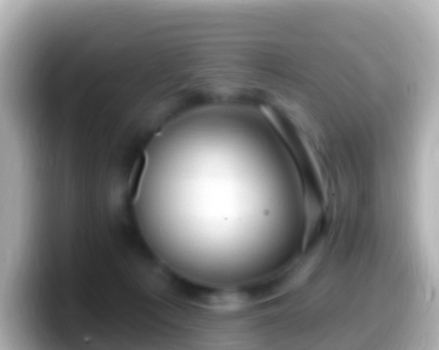 X0000099580225200805231557