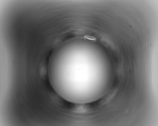 X0000099580226200805231557